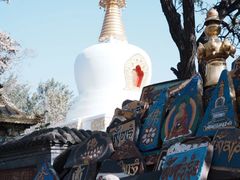 -护国法轮寺