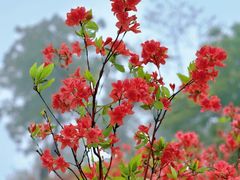 -瑞安圣井山景区