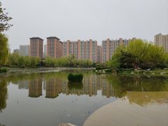 -木塔寺遗址生态公园