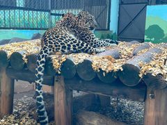 -昆明动物园
