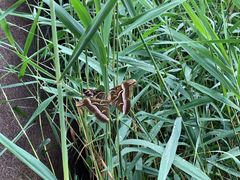 -碓臼峪自然风景区