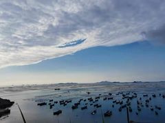 -枸杞岛