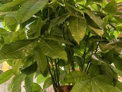 -潇湘·永州会馆(百子湾店)