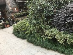 -威廉的太妃糖酒店(杭州西湖青芝坞店)
