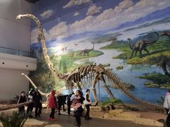 -自贡恐龙博物馆