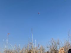 -绿堤公园