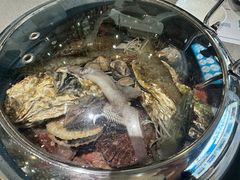 -大锅强·蒸海鲜青岛菜(吾悦广场店)