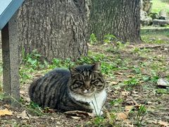 -国家植物园南园