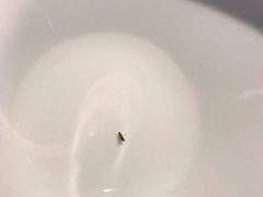 -举炊·寻湘记·新鲜现炒(临平西子国际店)