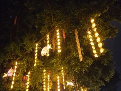 -秋凤鱼丸(金鼎总店)