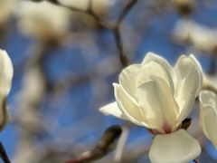 -北京市劳动人民文化宫(太庙)