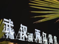 -武汉两江游览·夜游长江(汉口粤汉码头)