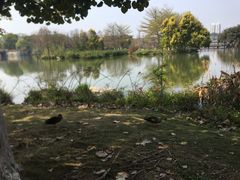 -海珠湖公园