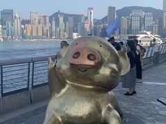 -星光大道