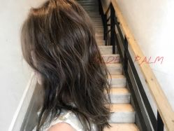 点击看大图 -金棕榈