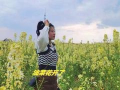 -三圣花乡旅游区