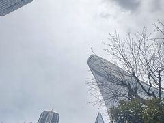 -上海中心大厦