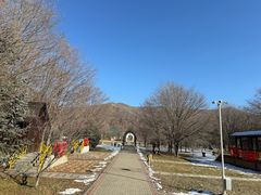 -横道河子东北虎林园