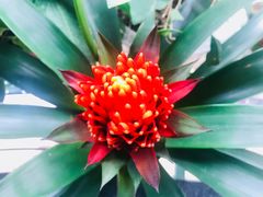 -头塘庄园(农家乐)