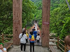 -燕子河大峡谷天坑仙境