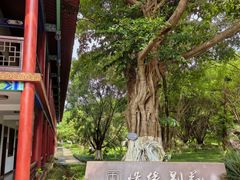 -马岭河峡谷风景区