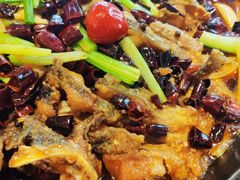 -老板恋上鱼(恒隆广场店)