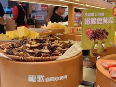 -龍歌自助小火锅(市南金茂湾店)
