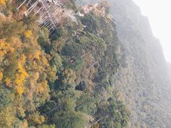 -大芦花风景区