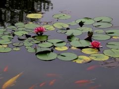 -白马涧龙池景区