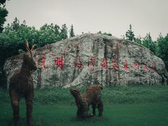 -上海海湾国家森林公园