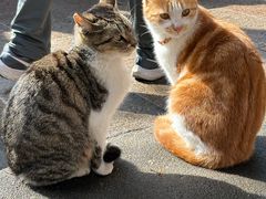 -狼山风景名胜区