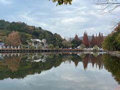 -慈城古县城景区