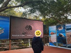 -广东惠东海龟国家级自然保护区