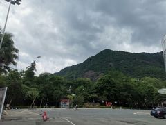 -广州市流溪河国家森林公园