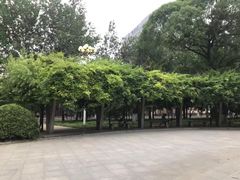 -中国人民大学游泳馆