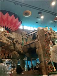 -卡通尼·Safari非洲探索乐园·生日会(金桥国际商业广场店)