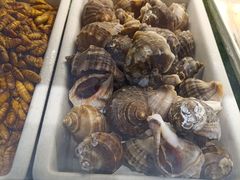 -虾宝贝胶东海鲜·渔家菜(小西天店)