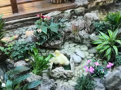 -串一火锅(赛格国际购物中心店)