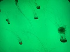 -沈阳海洋探索中心