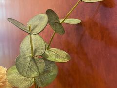 -哈根达斯(合肥天鹅湖店)