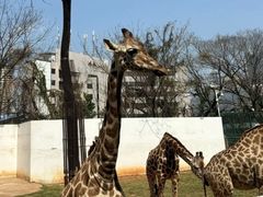 -昆明动物园