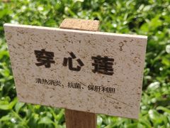 -天毓山庄·餐厅