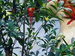 -丽泽山庄·生态怀柔菜·虹鳟鱼(红螺寺店)