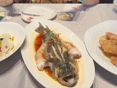 -7号院家宴.烧鸽子(门头沟店)