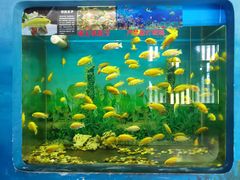 -泉州海丝野生动物世界