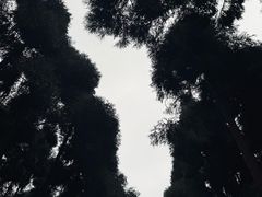 -都江堰景区