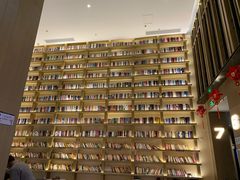 -深影国际影城(学院南路店CGS中国巨幕店)