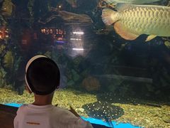 -华夏文旅海洋公园