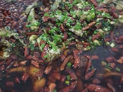 -东吴霸王兔(松青路店)