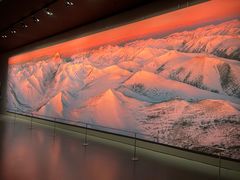 -罗红摄影艺术馆